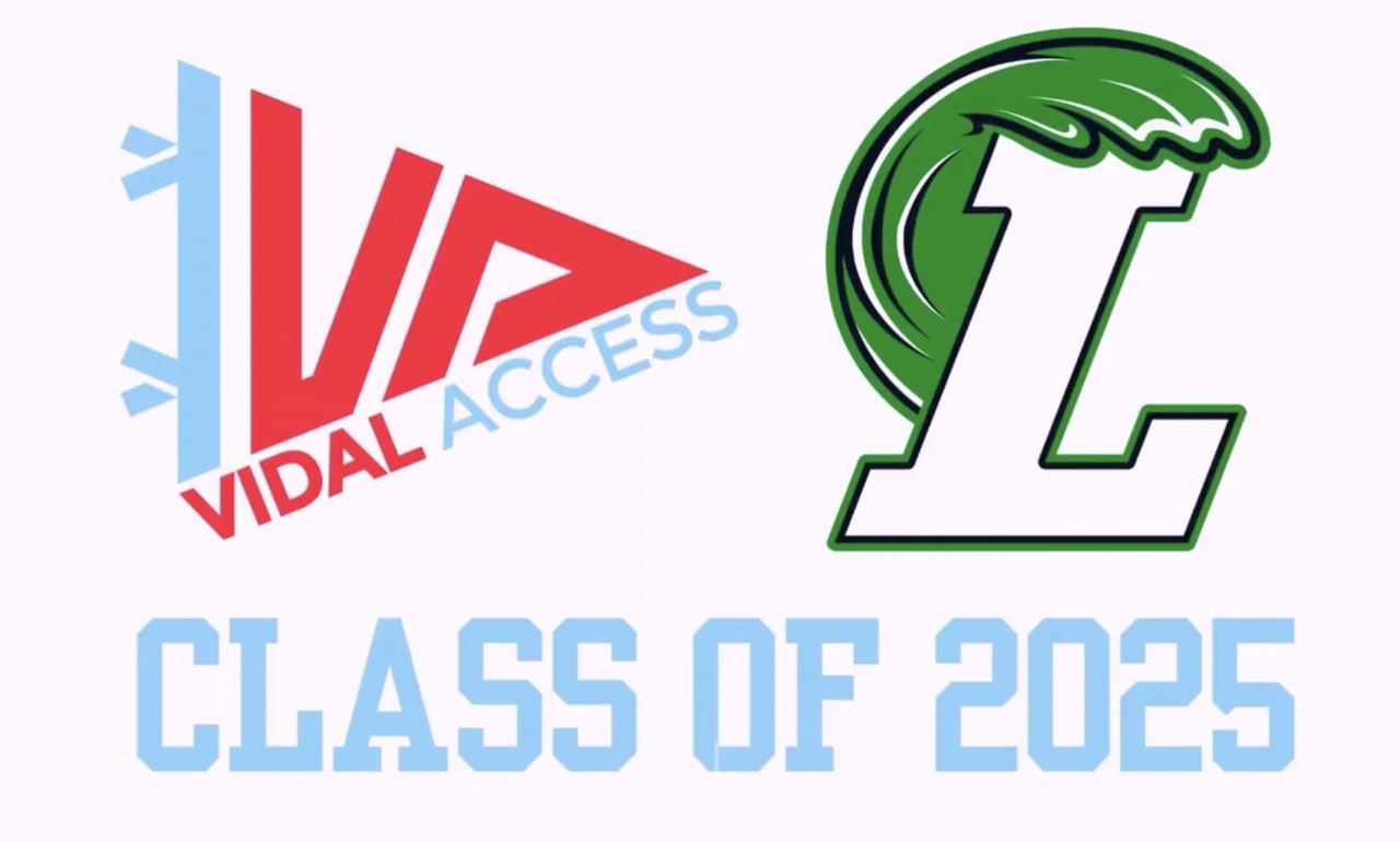  VIDAL Access